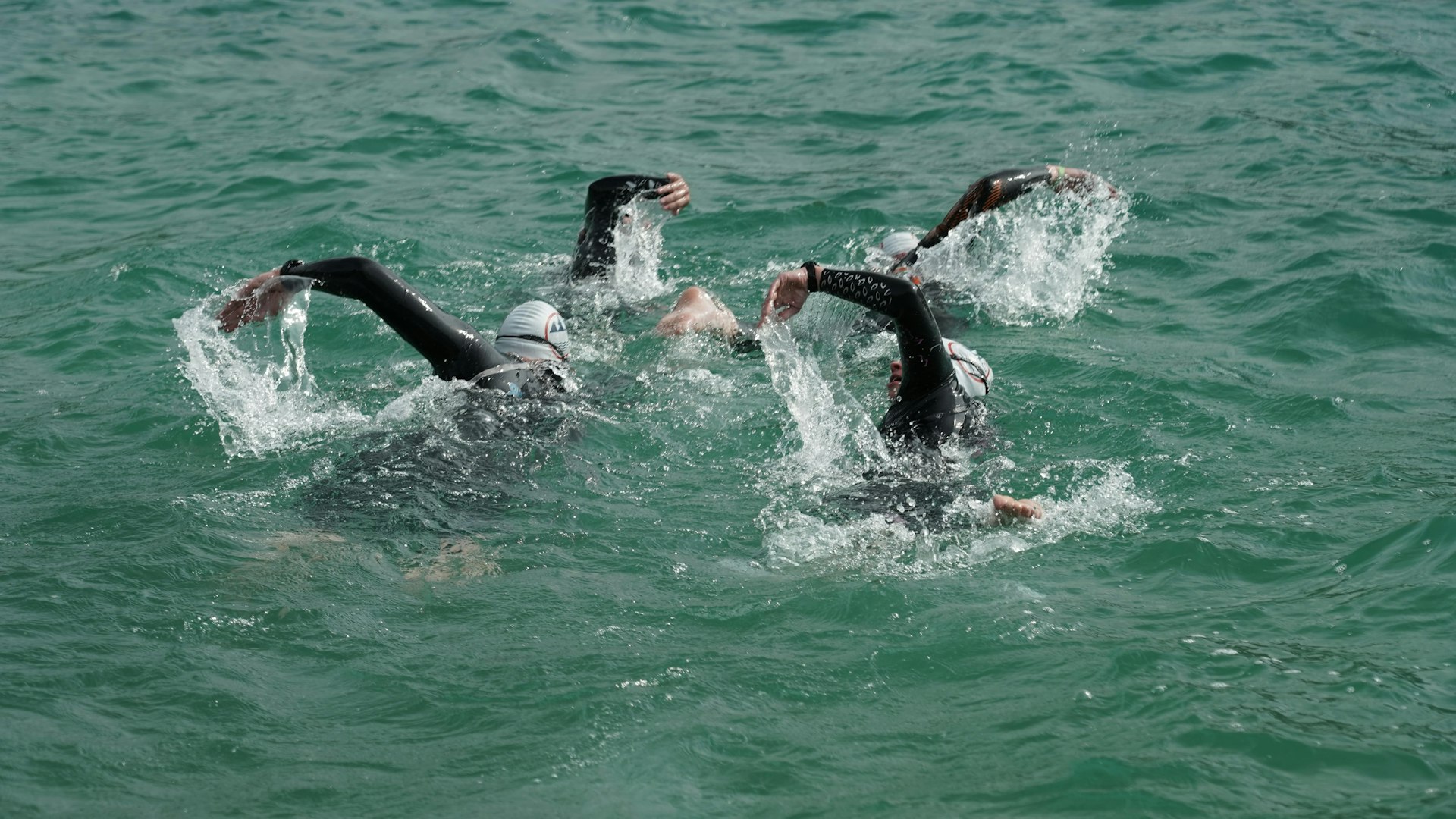 Open water swimmer stroking through lake water at dawn