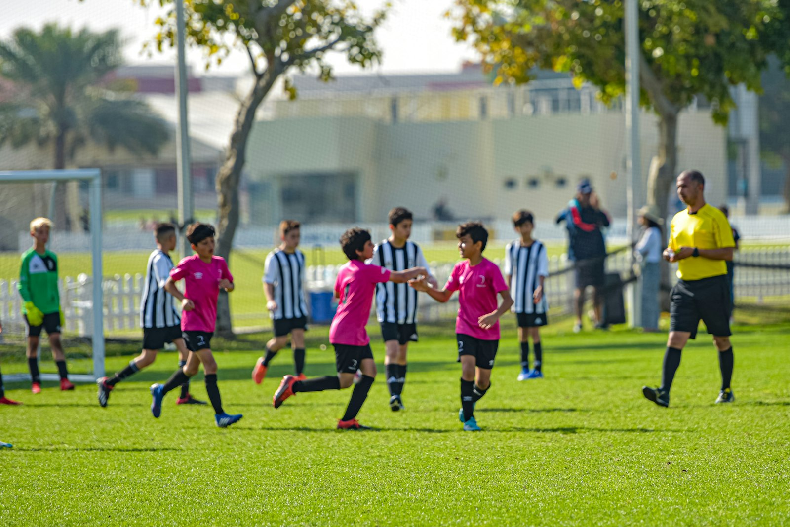 Young soccer players on a green field during a hot summer day