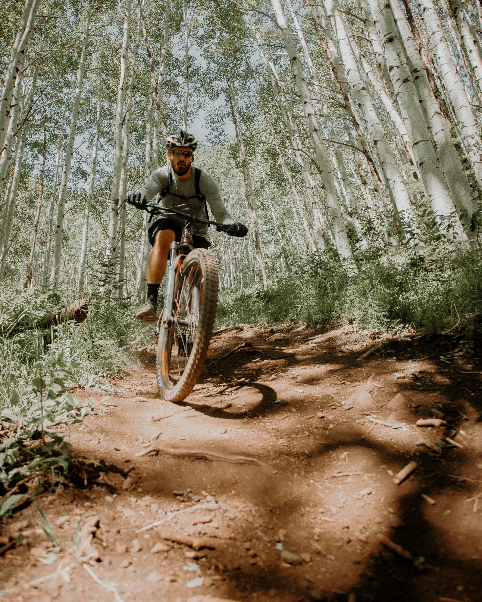 Mountain biker riding a dirt singletrack trail through an aspen forest — illustrating the hydration and electrolyte demands of mountain biking