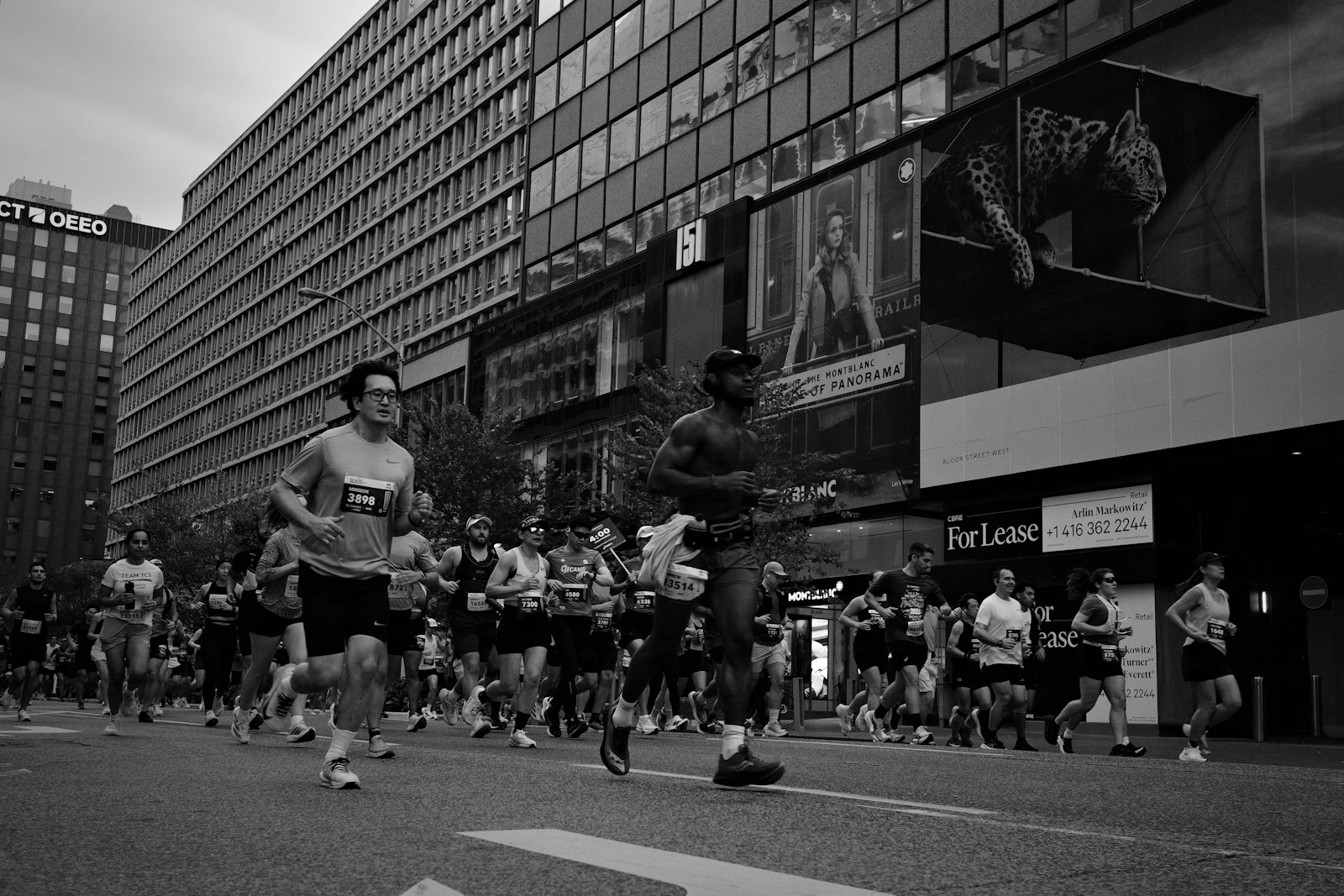 Marathon runners racing down a city street between tall buildings, illustrating race-week hydration for a big-city fall marathon.